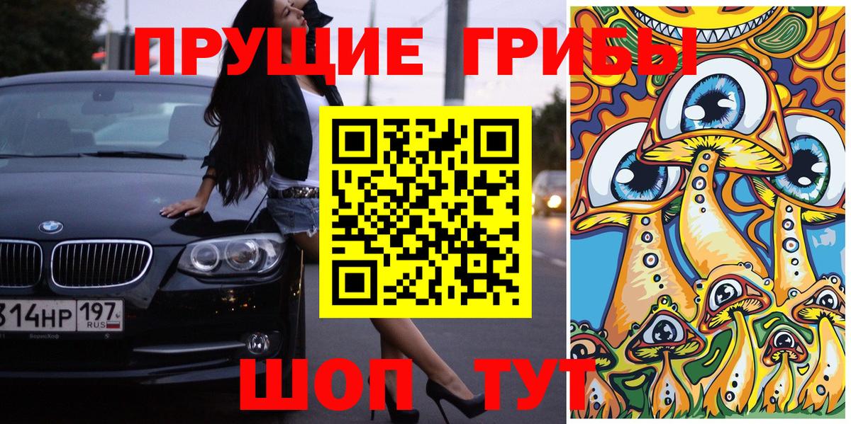Псилоцибиновые грибы GOLDEN TEACHER Новозыбков