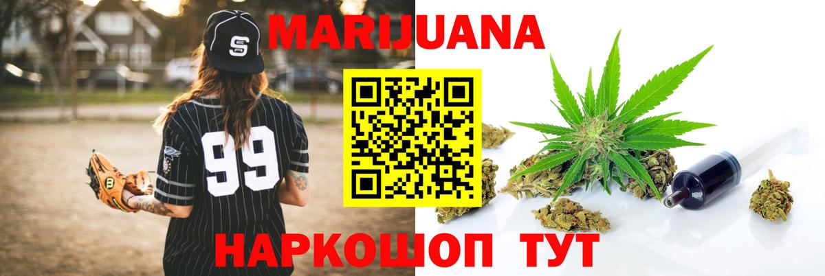 Канабис семена Новозыбков